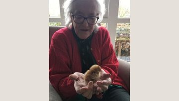 Egg-citing times at Hexham care home